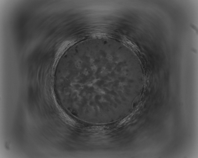 X0000093360049200710111502