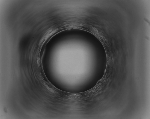 X0000093360050200710111502