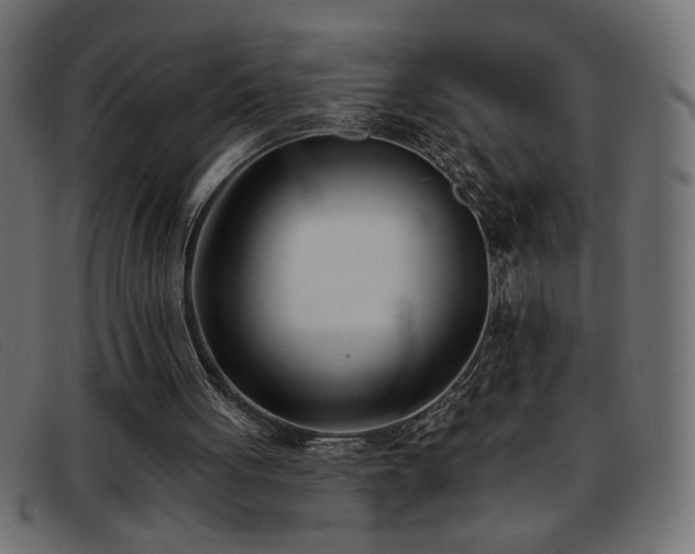 X0000093360051200710111502