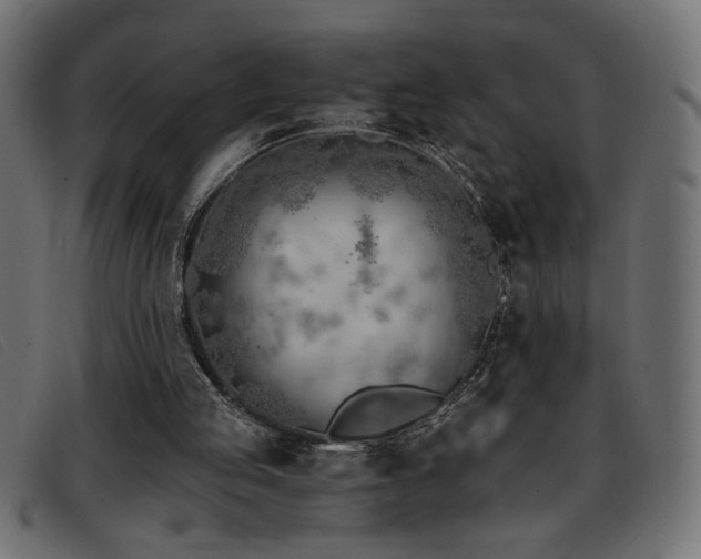 X0000093360053200710111502