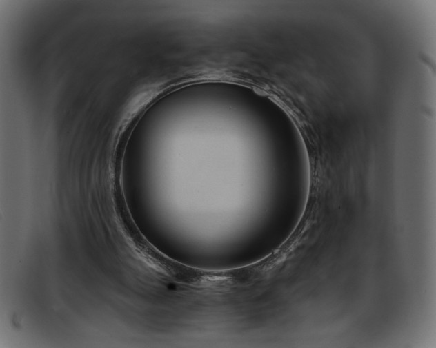 X0000093360055200710111502
