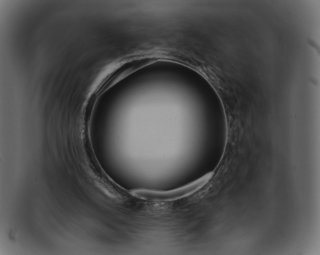 X0000093360056200710111502