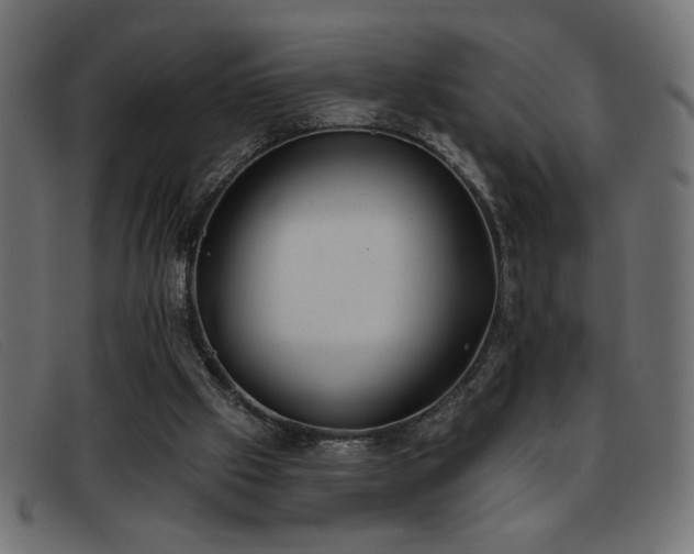 X0000093360057200710111502