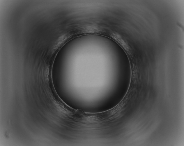 X0000093360058200710111502