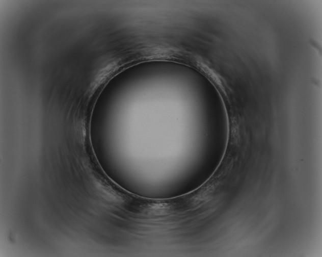 X0000093360059200710111502