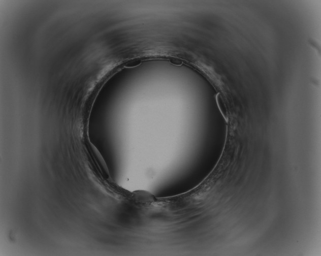 X0000093360060200710111502