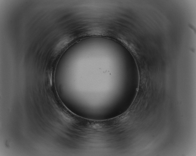 X0000093360062200710111502