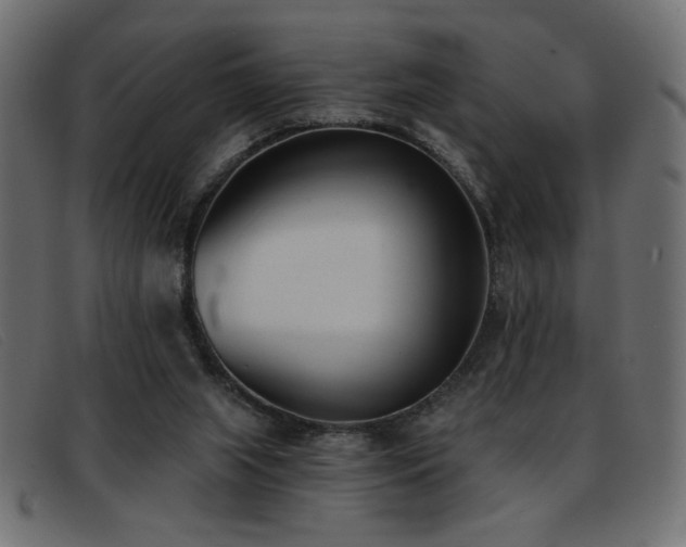 X0000093360063200710111502