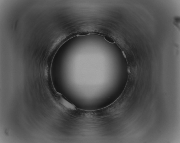 X0000093360064200710111502