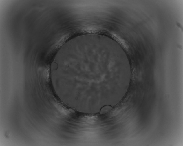 X0000093360065200710111502