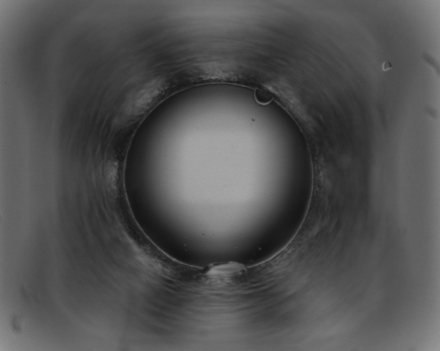 X0000093360066200710111502