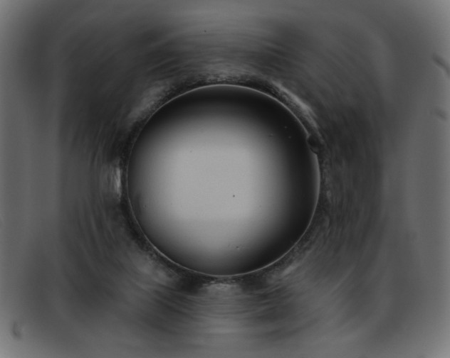X0000093360067200710111502