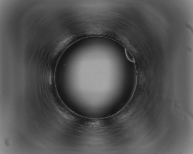X0000093360068200710111502