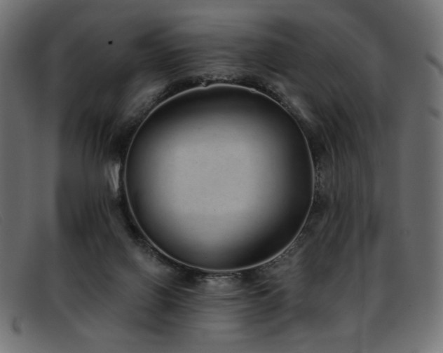 X0000093360070200710111502