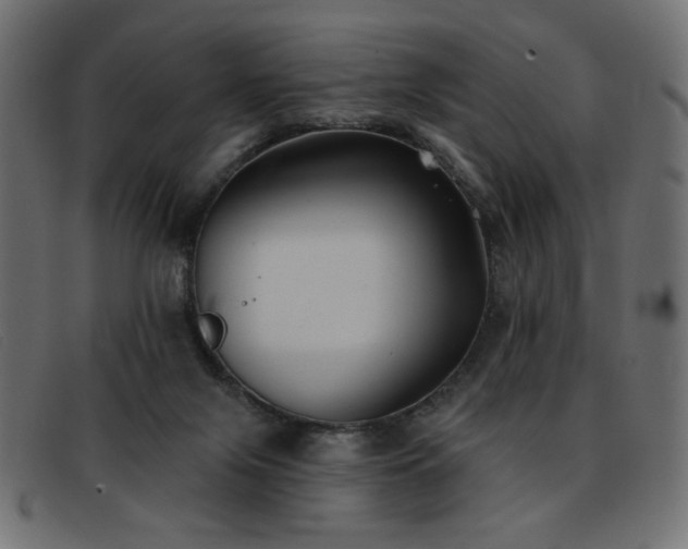 X0000093360071200710111502