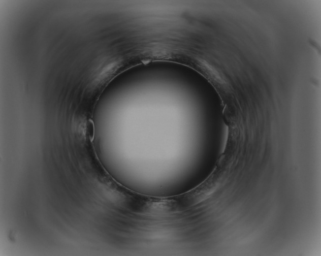 X0000093360072200710111502