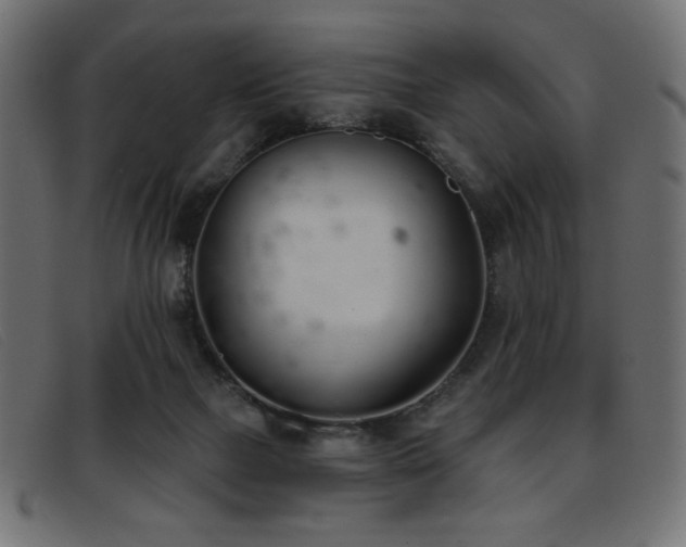 X0000093360073200710111502