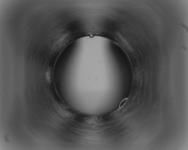 X0000093360074200710111502