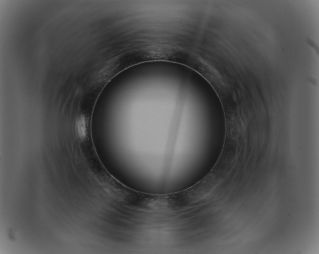 X0000093360075200710111502
