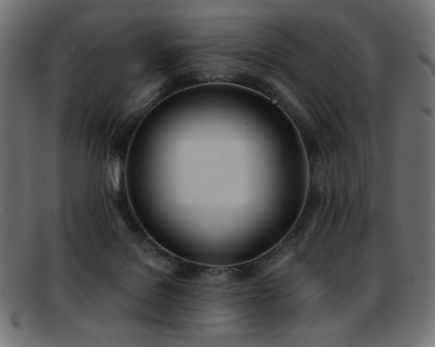 X0000093360076200710111502