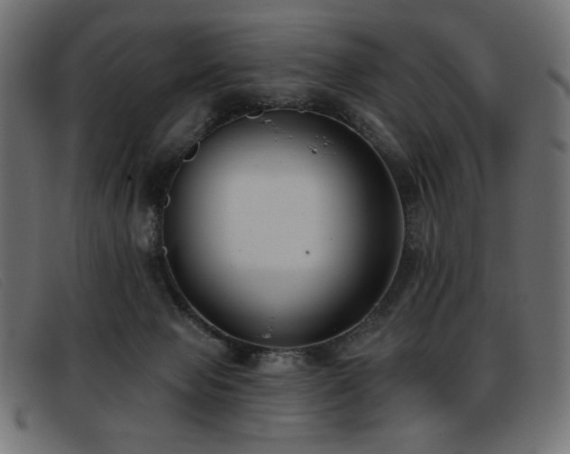 X0000093360077200710111502