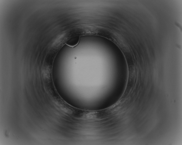X0000093360078200710111502