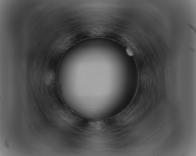 X0000093360079200710111502