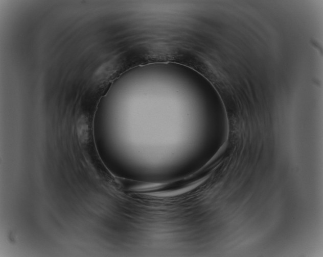 X0000093360080200710111502