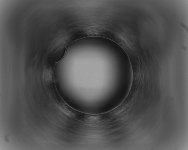 X0000093360081200710111502