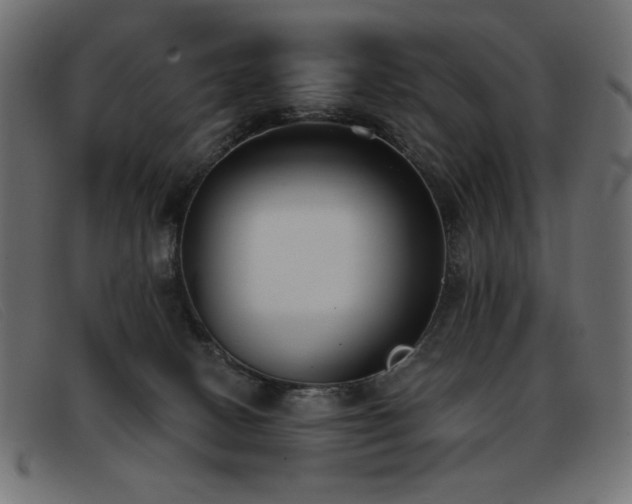 X0000093360082200710111502