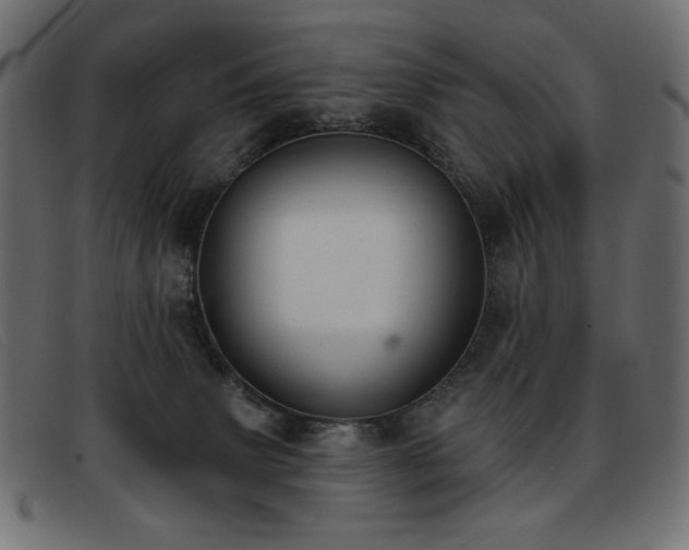 X0000093360083200710111502