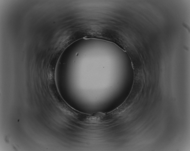 X0000093360084200710111502
