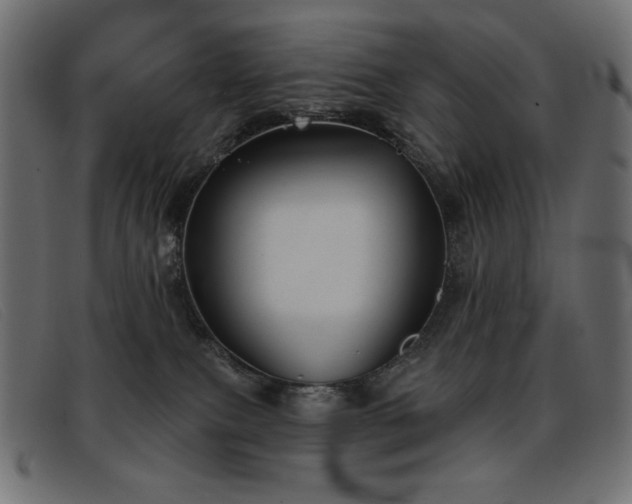 X0000093360087200710111502