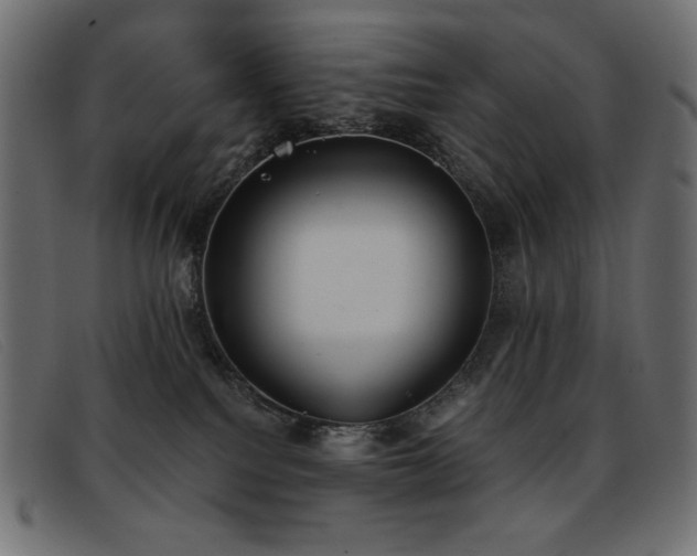 X0000093360088200710111502