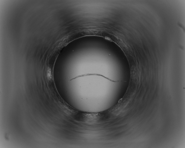 X0000093360089200710111502