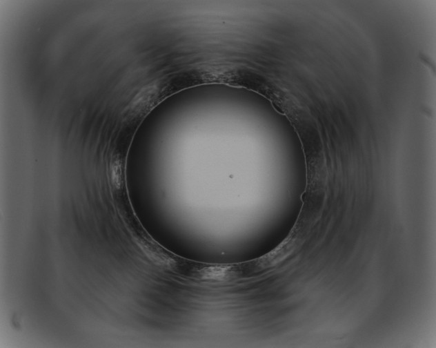 X0000093360090200710111502