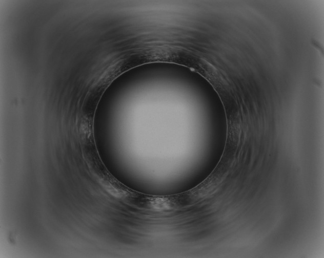 X0000093360091200710111502