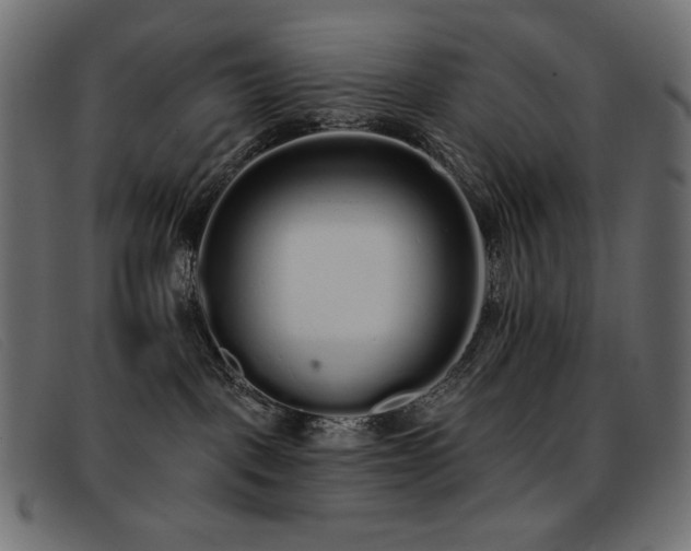 X0000093360093200710111502