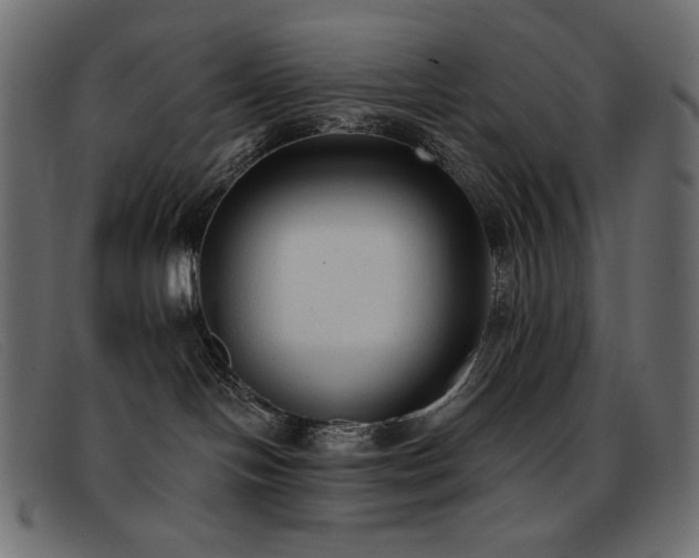 X0000093360094200710111502