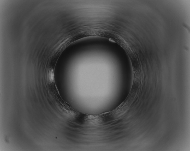 X0000093360095200710111502