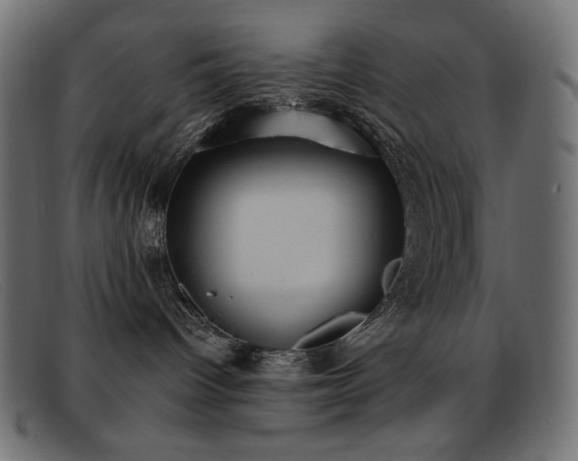 X0000093360096200710111502