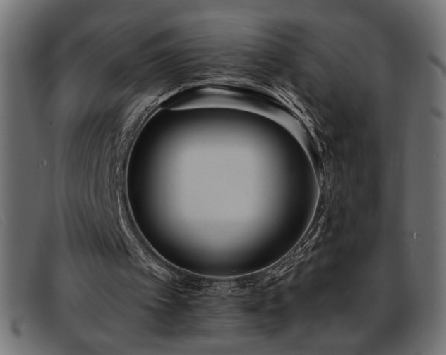 X0000093360097200710111502