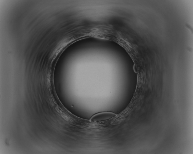 X0000093360098200710111502