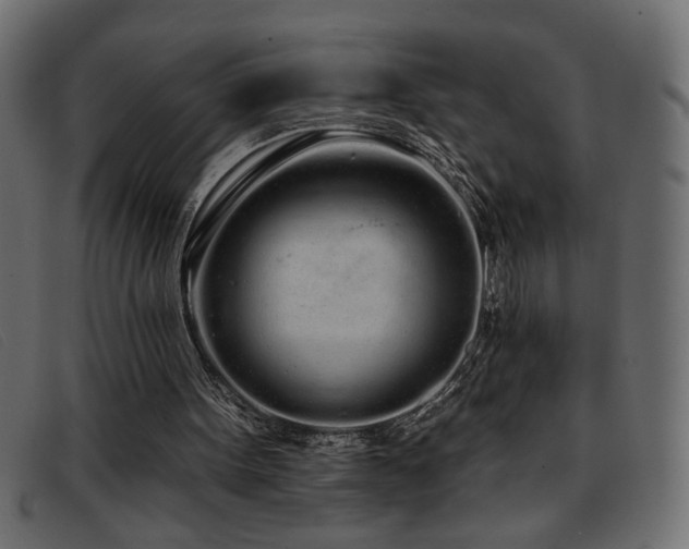 X0000093360099200710111502