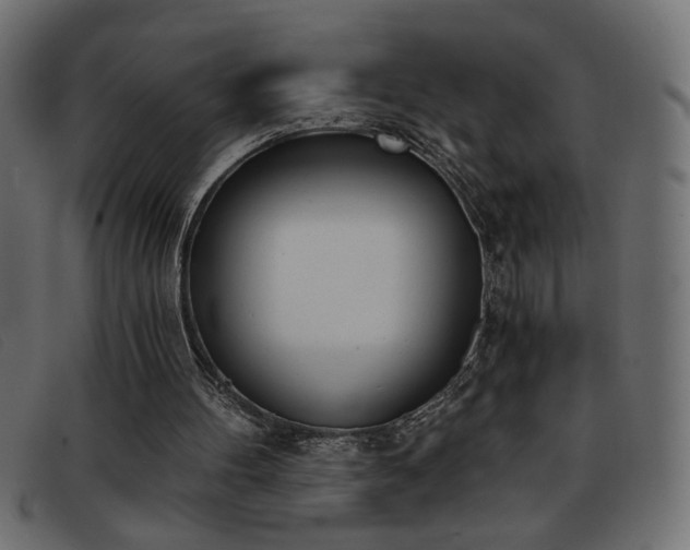 X0000093360100200710111502