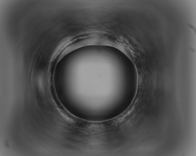 X0000093360101200710111502