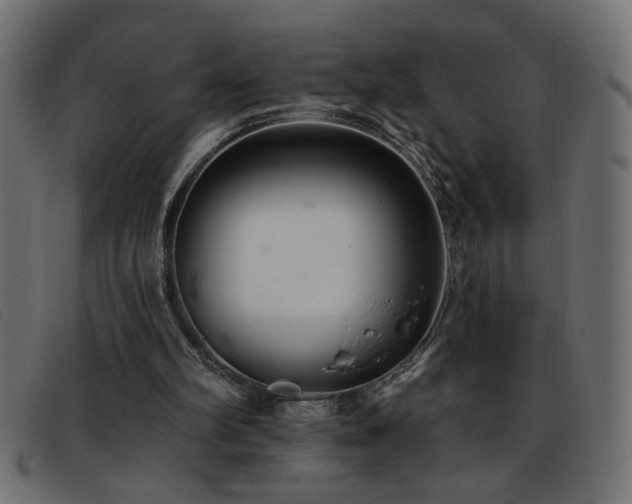 X0000093360102200710111502