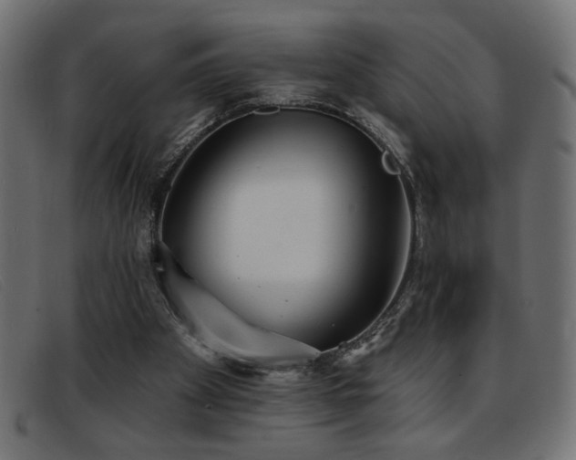 X0000093360105200710111502
