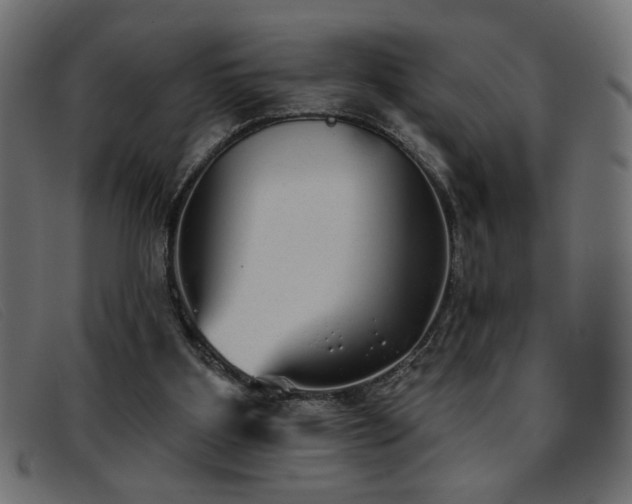 X0000093360107200710111502