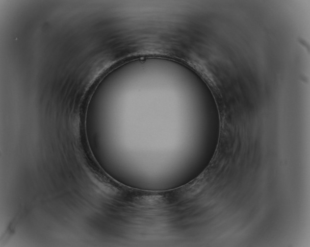 X0000093360108200710111502